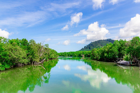 泰国攀雅省河中的鲜绿色红树林和美丽的云彩