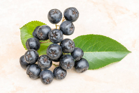 成熟的多汁 Chokeberry 或黑楸楸陶瓷背景。富含维生素和抗氧化剂的有机和素食食品