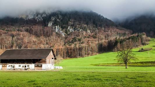 对英格堡，瑞士冬季景观美丽模糊的看法