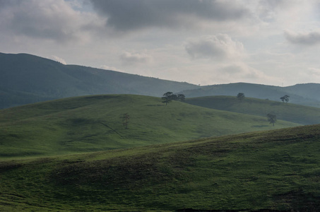 春天的风景在夕阳与云彩, 山和草甸。Zlatibor 山地区, 塞尔维亚