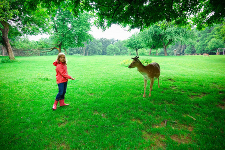 快乐漂亮的小女孩在橡胶靴饲料鹿在自然公园的秋季天气