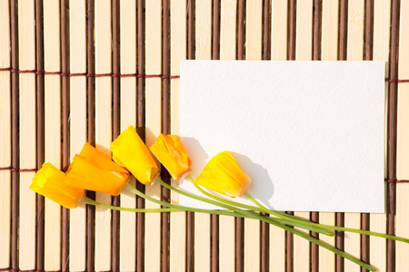 牛皮纸信封与空白信息和与美丽的橙花