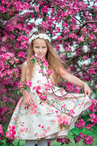 可爱的小女孩，在美丽的绽放苹果花园户外