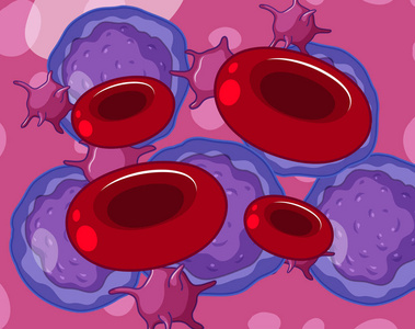 红白细胞与血小板图示