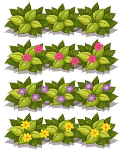 一组植物和花插图
