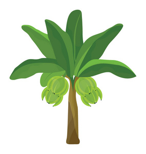 热带椰子树平面图标设计