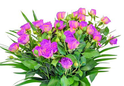 淡紫色的玫瑰花朵，收起来，花束，插花