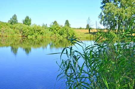 美丽的风景蓝色湖在森林之中在俄国西伯利亚