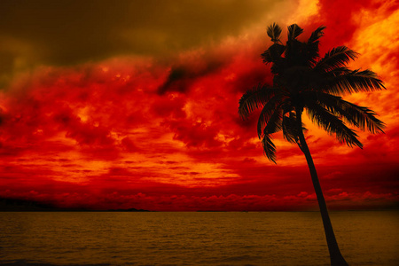 五颜六色的云彩在海和剪影椰子树的后面