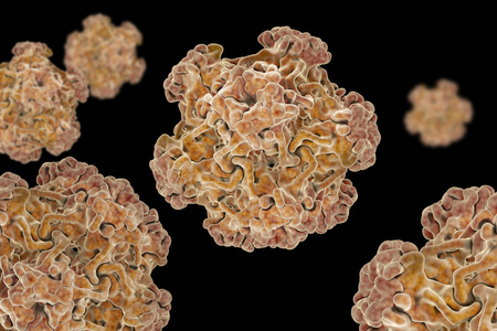 hpv 是由人传给人的最常见的感染之一。从人乳突病毒的 L1 蛋白中组装的小病毒类微粒的结构 16 Pdb 1dzl