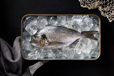 新鲜的鱼多拉达, 在冰上, 在一个黑色的背景金属盘, 顶部视图