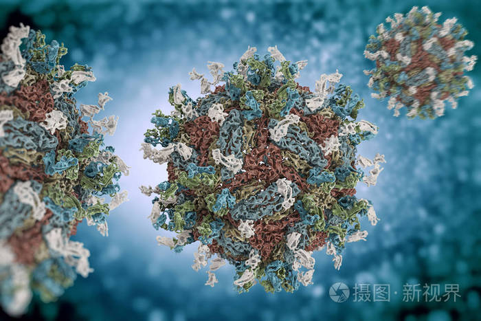 登革热病毒(pdb 4c2i 1 型与人抗体的复合体片段的结构