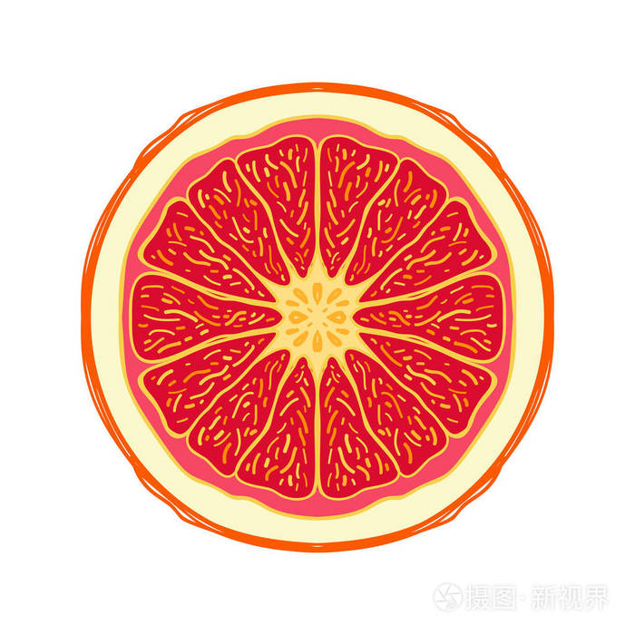 切片色的草图样式果红色柚子