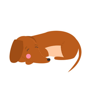 可爱的狗dachshund的插图