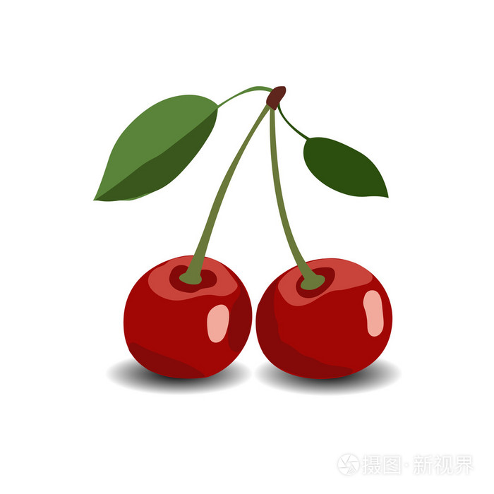 矢量图的樱桃