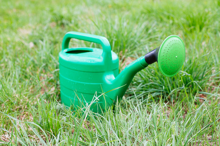 新绿色喷壶站在草地上