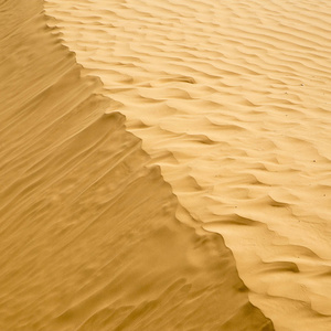 沙漠里的沙丘上