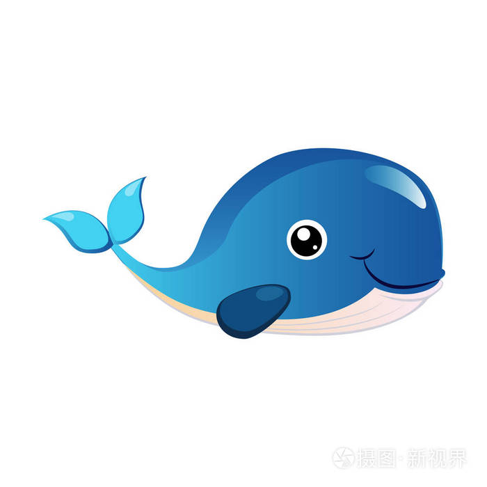 蓝色的驼背鲸,海生物.丰富多彩的卡通人物