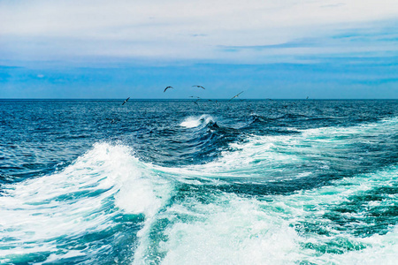 海水泡沫船轨道在海洋水纹理。海洋景观海洋旅行科德角马萨诸塞州美国