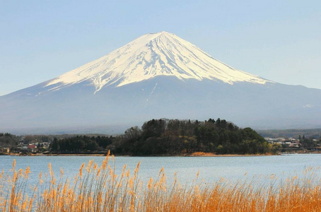 与山富士河口湖