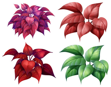 一套五颜六色的植物插图