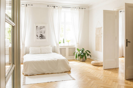 海报上的白色床与枕头在明亮的卧室内部与植物和窗口。真实照片