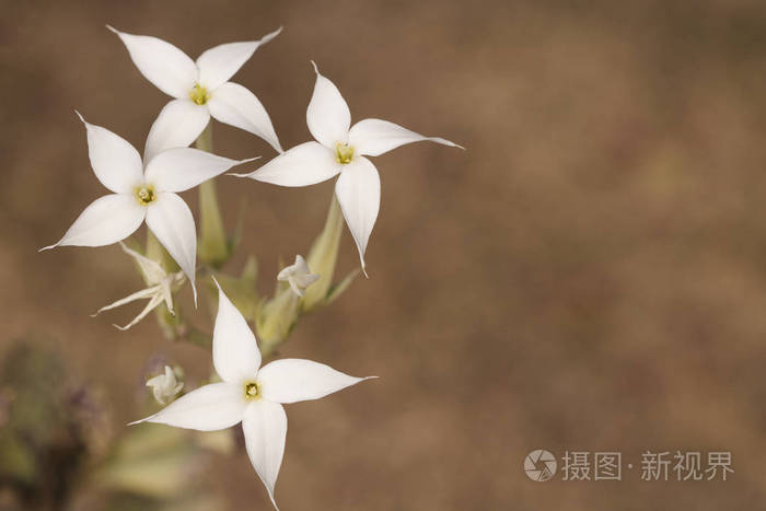 春季设计背景.宏观