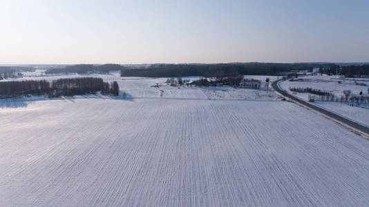 冬季田野 Krimulda 拉脱维亚空中无人机俯视图
