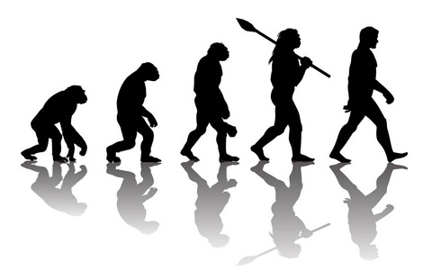 人的进化理论