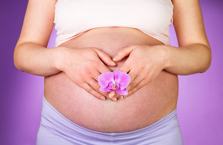 孕妇与兰花花在手上紫色背景