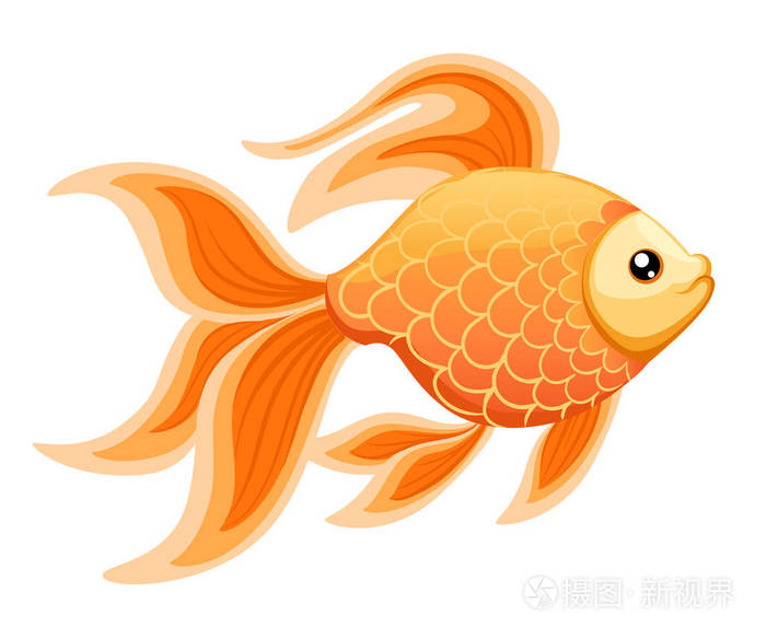 矢量图背景上孤立金鱼水族馆鱼的轮廓图.姹紫嫣红的卡通平水族馆小鱼