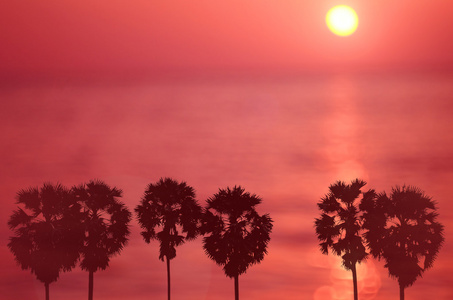 模糊在热带的日落海滩抽象背景上的棕榈树