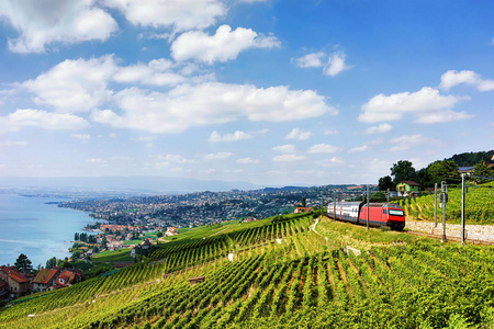 火车在附近日内瓦湖瑞士拉沃克斯葡萄园山