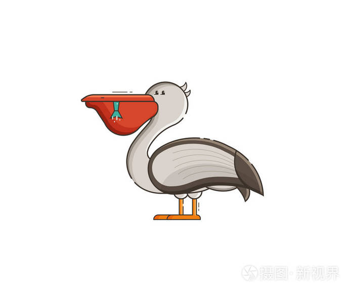 白鹈鹕矢量图