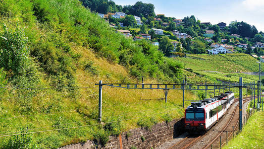 跑火车在附近拉沃葡萄园梯田徒步瑞士