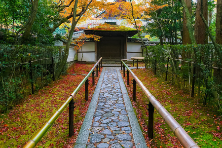 秋天在筝在日本京都大德寺子庙