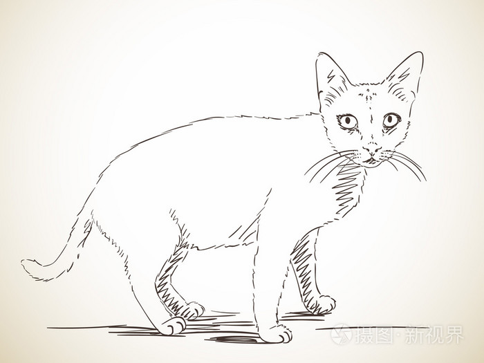 手画的猫
