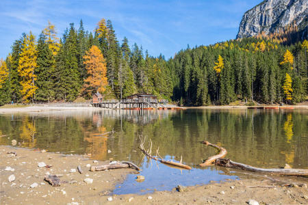 Braies 湖在一个多彩的秋天风景在意大利白云岩阿尔卑斯, 阿尔塔普斯泰里亚谷, 在 FanesSennes 和 Braie