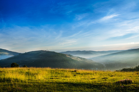 山夏日风景。树在草甸和森林在小山附近