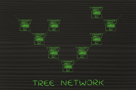树网络的概念