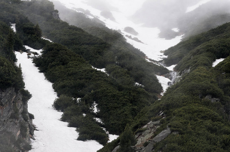 波兰塔特拉山在雾中