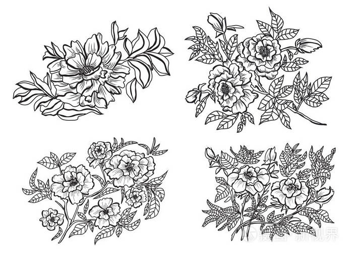 插画 装饰牡丹花, 设计元素.可用于贺卡,请柬,横幅,海报,平面设计.