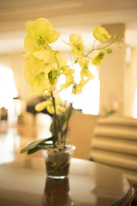 美丽的花朵在豪华的五星级酒店婚宴前客人到达