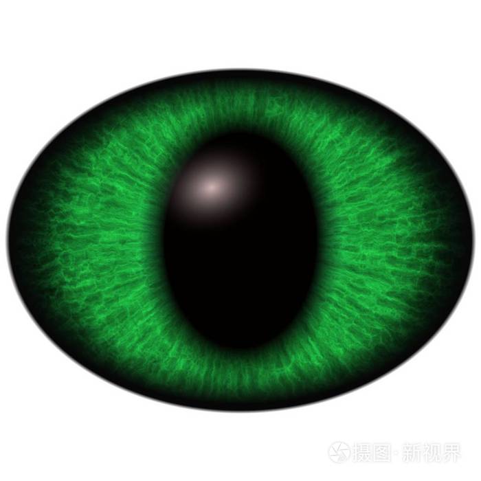 绿色蜥蜴眼薄瞳孔和黑暗视网膜的背景.暗绿色的虹膜