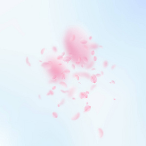 樱花花瓣落下。浪漫的粉红色花朵爆炸。蓝天上的飞花瓣广场背景