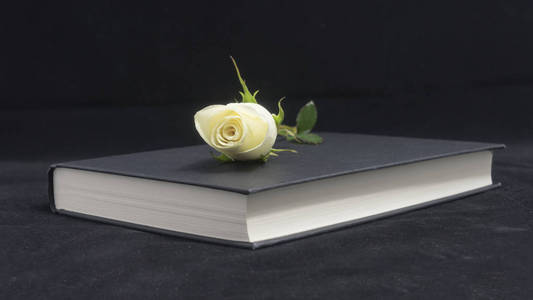 白玫瑰和笔记本