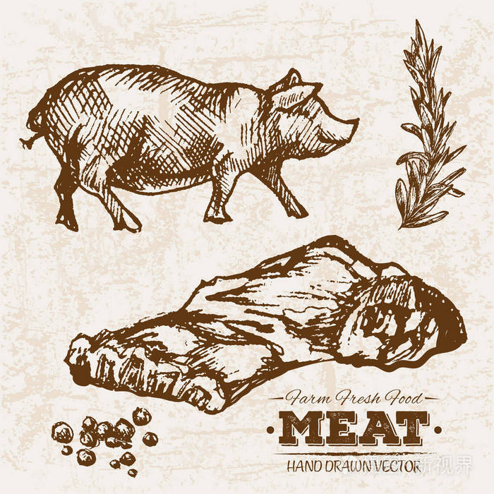 手绘素描猪肉牛排肉产品集香肠和腊肠, 农场新鲜食品