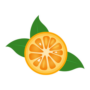 橙色水果切片特写图标, 圆片橙色。标志设计, 平面矢量图