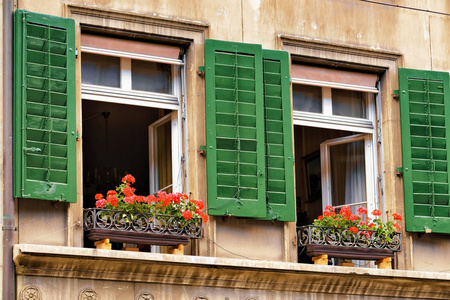 Windows 与绿色百叶窗在伯尔尼克拉姆