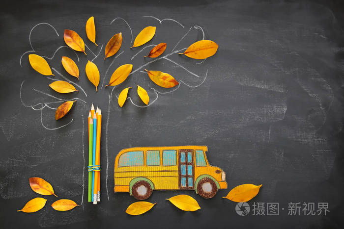 校车和铅笔的顶部视图图像旁边的树素描与秋季干树叶在教室黑板背景